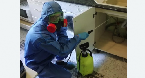 Уничтожение муравьев в квартире. Щёлково