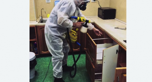 Уничтожение насекомых в квартире. Щёлково