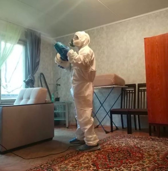 дезинсекция квартиры в Щёлково