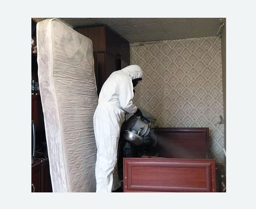 дезинфекция от клопов в Щёлково