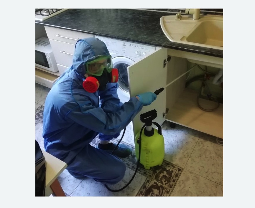 обработка от муравьев в квартире в Щёлково