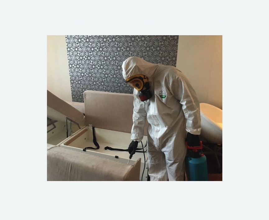 уничтожение клопов в квартире в Щёлково