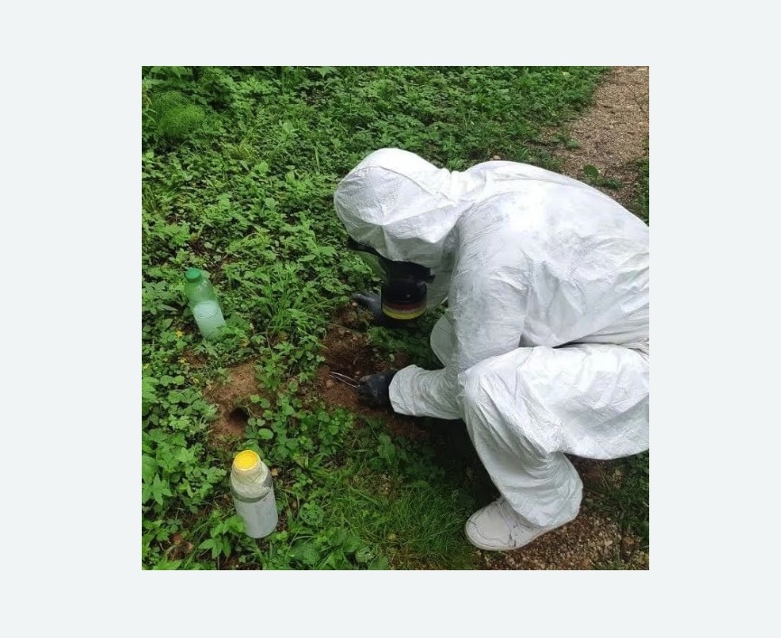 уничтожение кротов на участке в Щёлково