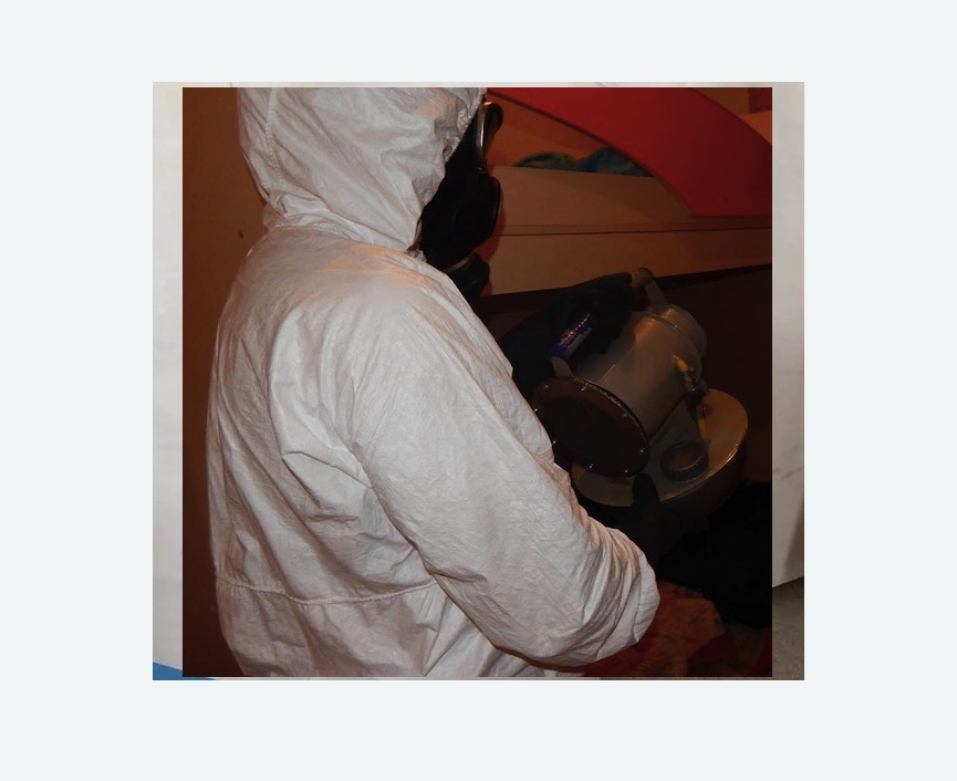 Дезинфекция от муравьев в Щёлково