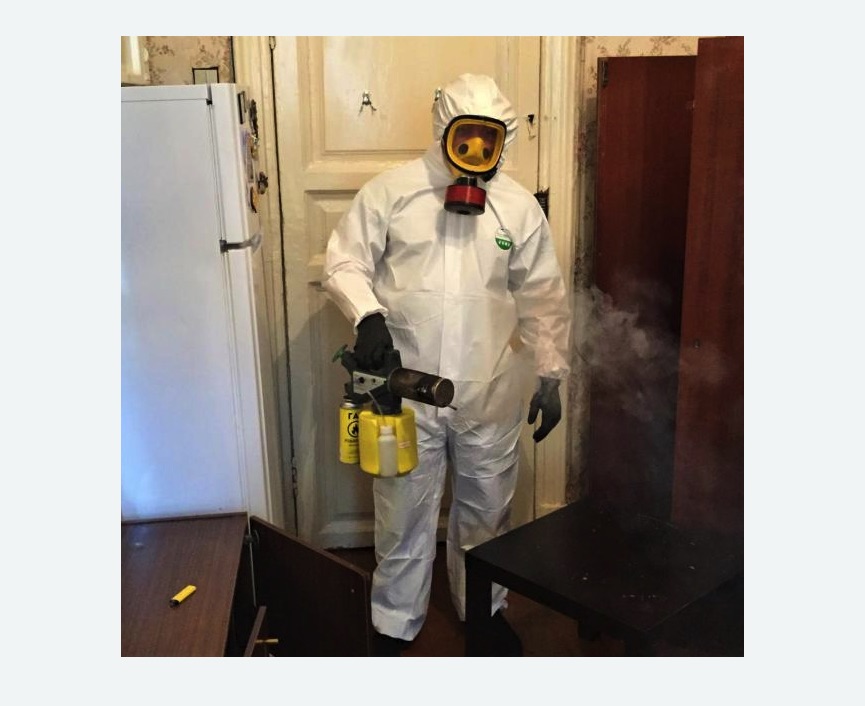 уничтожение муравьев в квартире в Щёлково